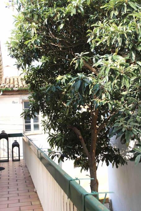Spacieux Appartement 4 Couchages, Terrasse Privee Narbonne Exteriör bild